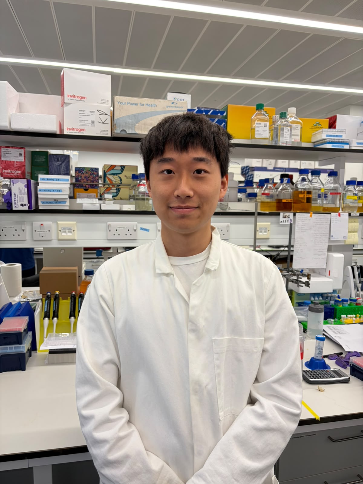 Rui Yang